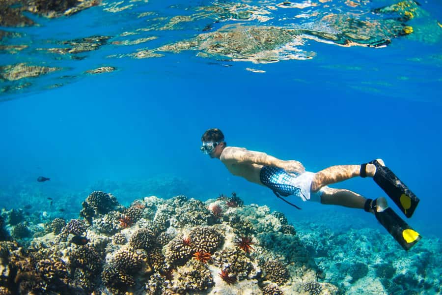 Gili Islands: Underwater Statues Cruise and Snorkeling - Why the underwater statue circle at Gili Meno works so well