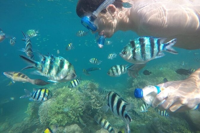 Gili Nanggu,Gili Kedis & Gili Sudak Hopping island & Snorkeling Tour - Gili Sudak: lunch on the island, then sand-and-snorkel time