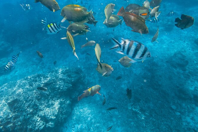 Gili Nanggu,Gili Kedis & Gili Sudak Hopping island & Snorkeling Tour - Snorkeling that’s actually easy: gear, life jackets, and timing