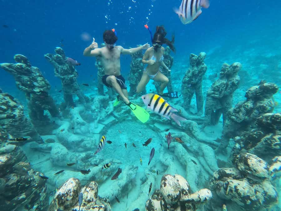 Gili Snorkeling Tour With GO PRO Documentation - Gear, what to bring, and what to skip