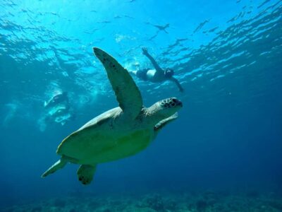 Gili SUNSET Snorkeling Tour With GOPRO Documentation - The 2-hour flow: how the timing typically feels
