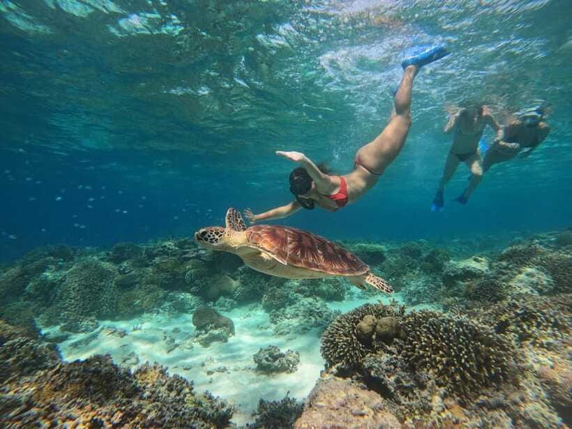 Gili SUNSET Snorkeling Tour With GOPRO Documentation - The included gear and support: good for beginners, with one caveat