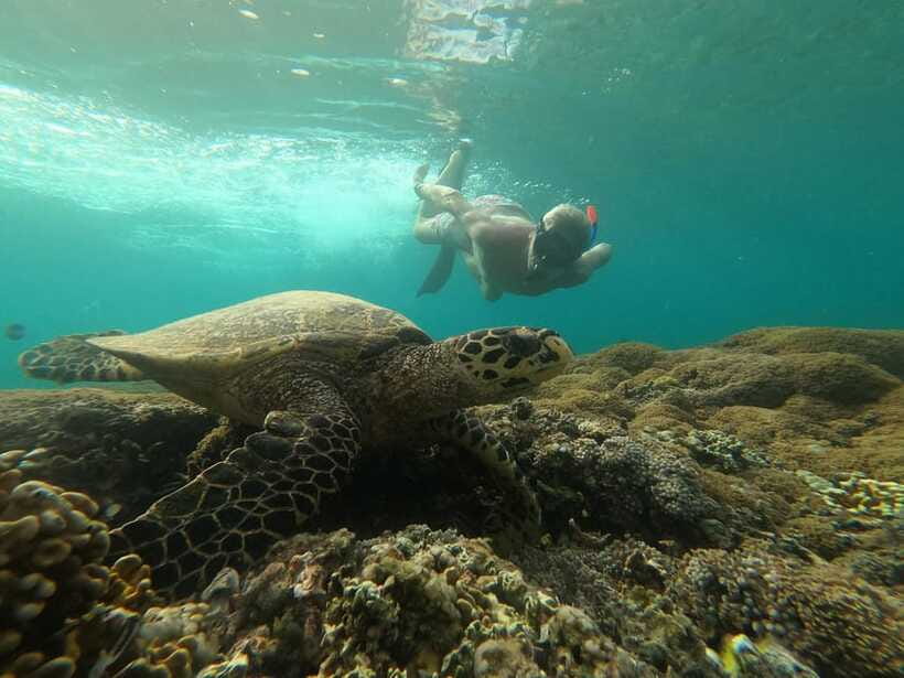 Gili SUNSET Snorkeling Tour With GOPRO Documentation - Price versus value: is $13 a deal or a gamble?