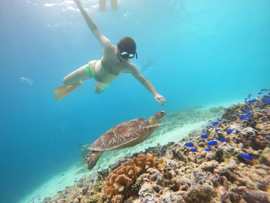 Gili T Island: Gili Snorkeling Day Trip Swim With Turtles - Key Things to Know Before You Go