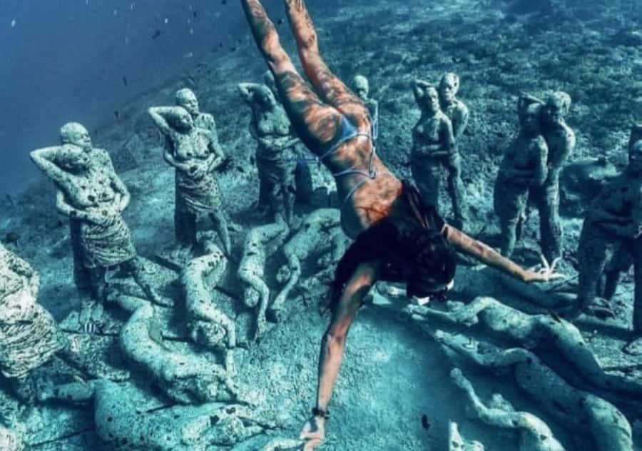 Gili T Island: Gili Snorkeling Day Trip Swim With Turtles - When to Choose the 10:30 or 13:00 Slot