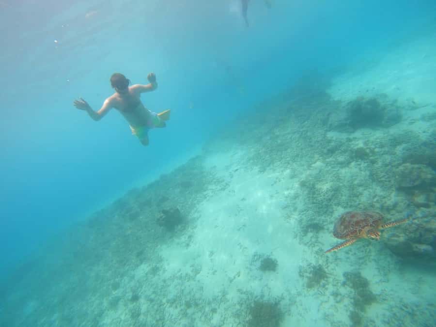 Gili T Island: Gili Snorkeling Day Trip Swim With Turtles - Getting to the Kayu Cafe Meeting Point on Gili Trawangan