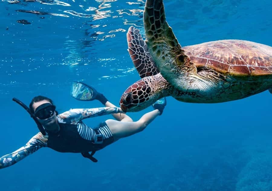 Gili T Island: Gili Snorkeling Day Trip Swim With Turtles - Gili Meno After Snorkeling: Turtle Sanctuary Walk and Beach Time