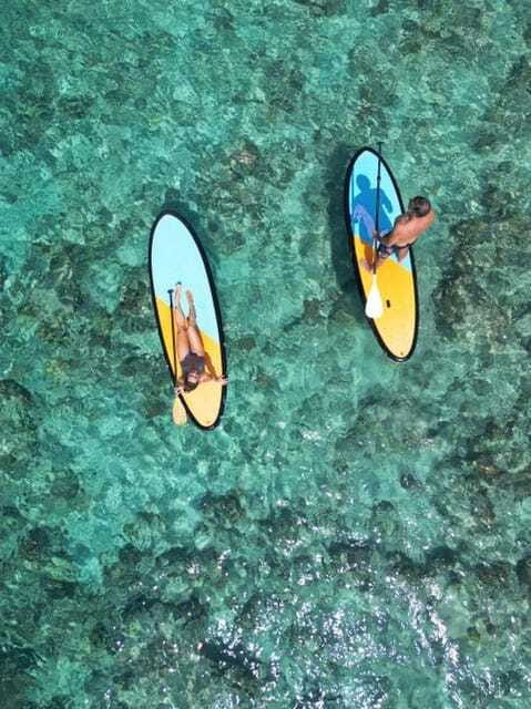 Gili T: Stand Up Paddle & Kayak Adventure in Serene Waters - Marine Life and Coral Reefs: How to See More with Less Effort