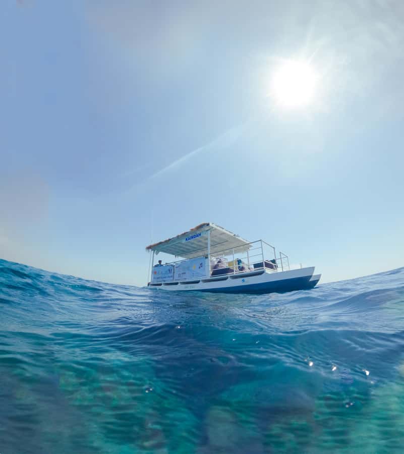 Gili Trawangan: 3 Gili Islands Turtle Snorkel Cruise w/ BBQ - Price and Value: What $79 Buys You on a Real 4-Hour Day