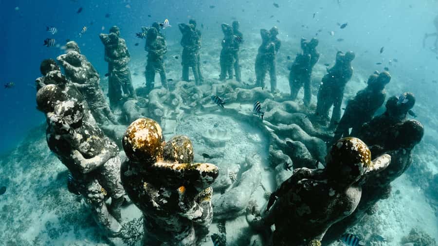 Gili Trawangan: 3 Gili Islands Turtle Snorkel Cruise w/ BBQ - Starting at Ocean 2 Cafe and Bungalows (and why the morning start helps)