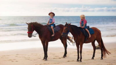 Gili Trawangan: Beach Horseback Riding with Pickup Hotel - Hotel Pickup With Horses: How the Ride Fits Into Your Day