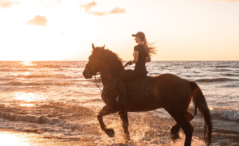 Gili Trawangan: Beach Horseback Riding with Pickup Hotel - The Price ($45): Is It Fair Value?