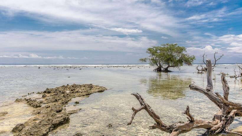 Gili Trawangan: Beach Horseback Riding with Pickup Hotel - What to Bring (And What to Leave at Home)