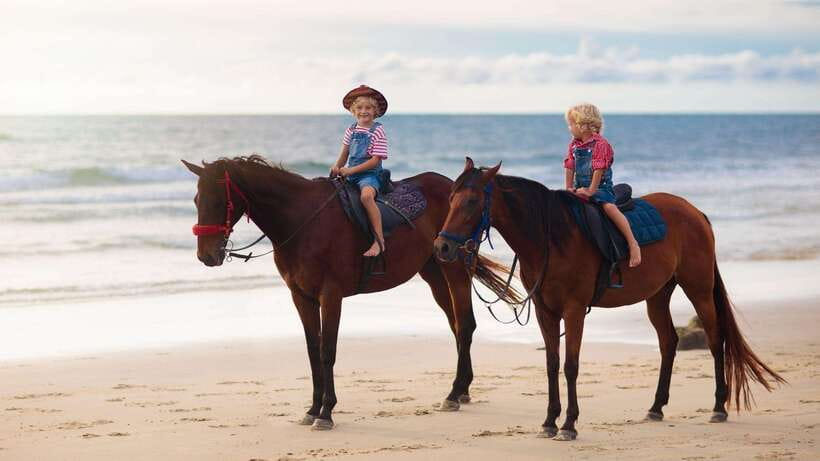 Gili Trawangan: Beach Horseback Riding with Pickup Hotel - Hotel Pickup With Horses: How the Ride Fits Into Your Day