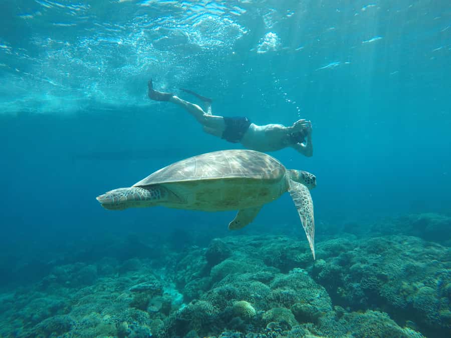 Gili Trawangan Best Snorkeling Trip With GOPRO documentation - Boat Time, Safety Briefing, and Guide Assistance