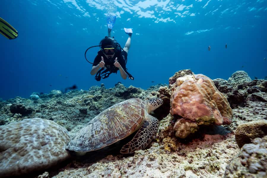 Gili Trawangan : Discovery Scuba Diving - Getting started at Manta Dive Gili Trawangan