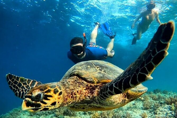 Gili Trawangan & Gili Air Snorkeling Tour Turtles & Statue - Key Highlights You’ll Care About