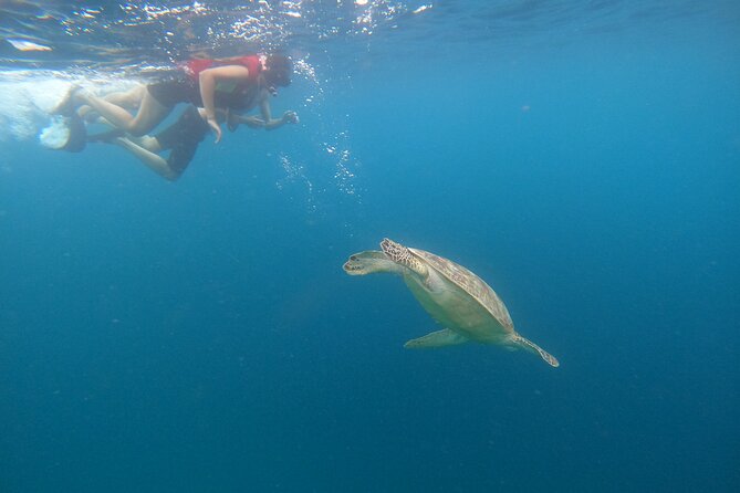 Gili Trawangan & Gili Air Snorkeling Tour Turtles & Statue - The Underwater Statue at Gili Meno: Fun Photos, Tight Timing