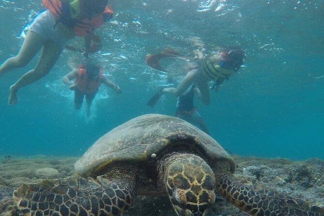 Gili Trawangan & Gili Air Snorkeling Tour Turtles & Statue - Snorkeling Gear, Lunch, and What to Bring (Towel Is Non-Negotiable)