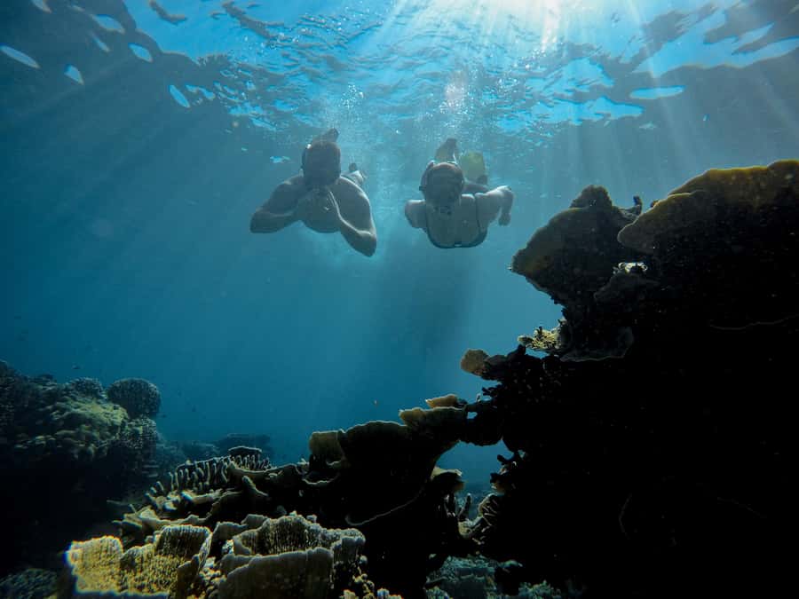 Gili Trawangan : Half Day Snorkeling with Turtle and Statue - Key highlights at a glance