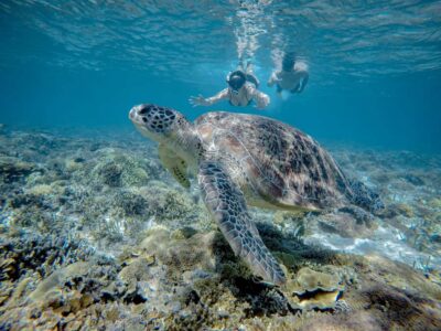 Gili Trawangan : Half Day Snorkeling with Turtle and Statue - Gili Meno underwater statues: the big circle you’ll notice fast