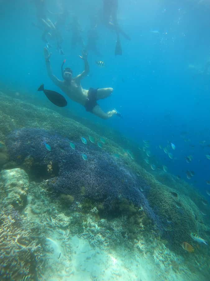 Gili Trawangan : Half Day Snorkeling with Turtle and Statue - Timing reality: 4 hours on paper, shorter on the 4 pm run