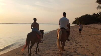 Gili Trawangan: Horse Riding on the Beach - What the 30 to 60 minutes on the beach actually looks like