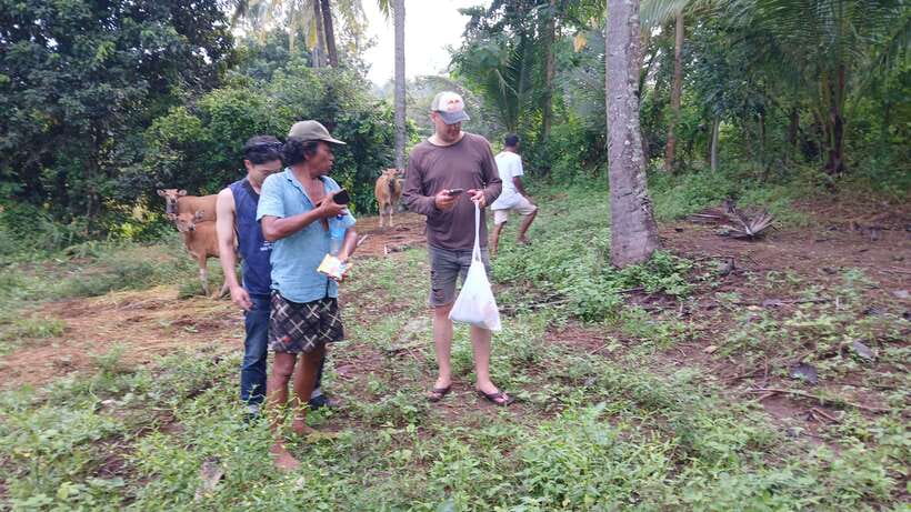 Gili Trawangan: Magic Mushroom Tour with Jungle Breakfast - Jungle breakfast at Villa Pintu Bintang: why this meal matters
