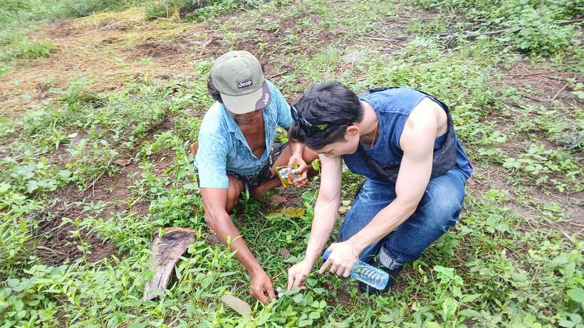 Gili Trawangan: Magic Mushroom Tour with Jungle Breakfast - The group size and guide style: how the day stays personal