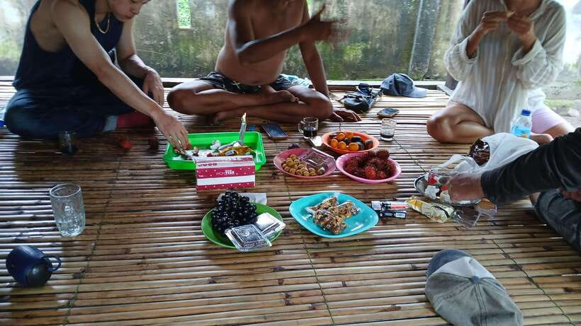 Gili Trawangan: Magic Mushroom Tour with Jungle Breakfast - Getting from Gili Trawangan to Lombok without turning it into a headache