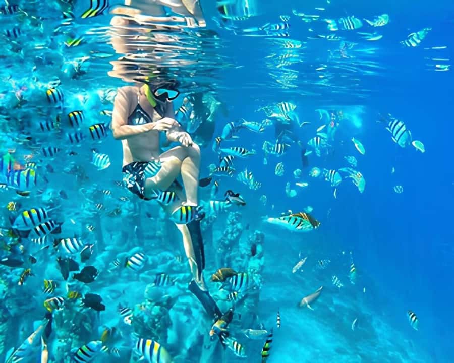 Gili Trawangan: Private Snorkeling 4 Spots Turtle with Gopro - Quick reasons to book