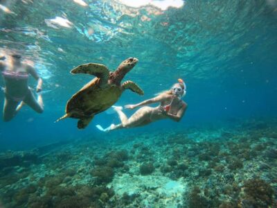 Gili Trawangan: Private Snorkeling 4 Spots Turtle with Gopro - The underwater scooter (Vespa spot): the main event