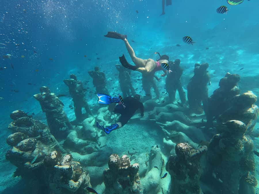 Gili Trawangan: Private Snorkeling 4 Spots Turtle with Gopro - Blue Coral and Coral Garden: where you’ll actually enjoy the reef