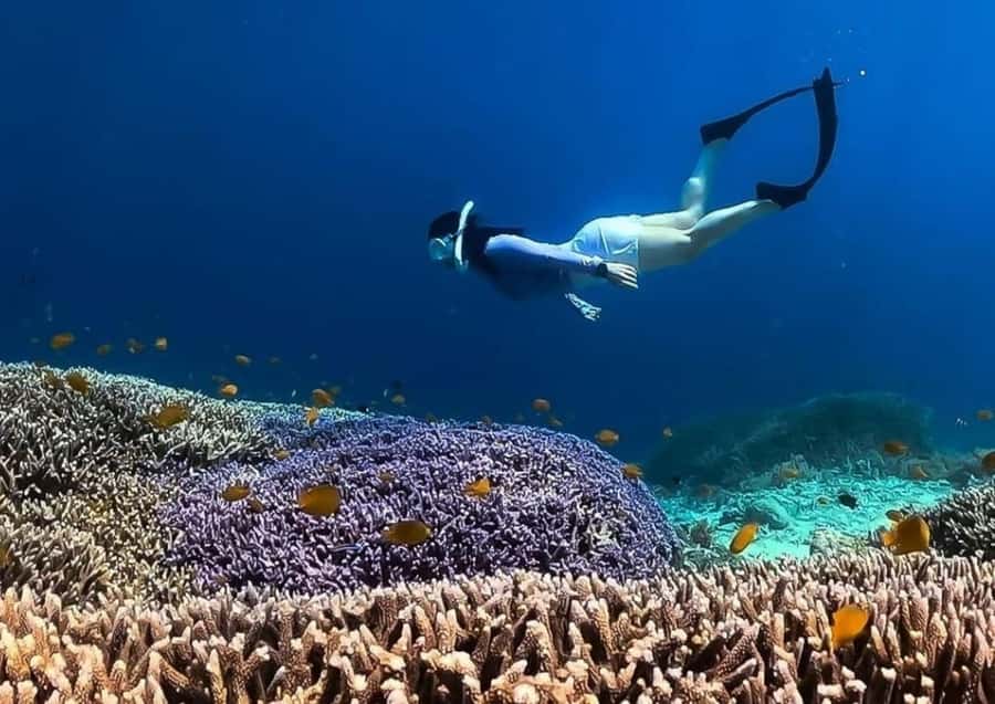 Gili Trawangan: Private Snorkeling 4 Spots Turtle with Gopro - Turtle Point: how the crew helps you find turtles
