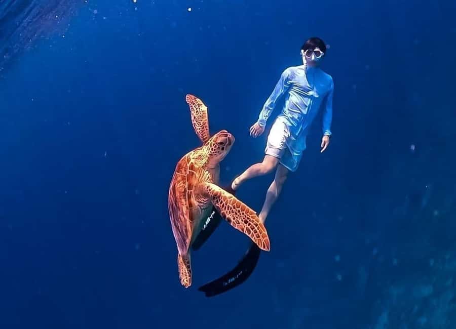 Gili Trawangan: Private Snorkeling 4 Spots Turtle with Gopro - The lunch break on Gili Meno: scenic, simple, and cash-based