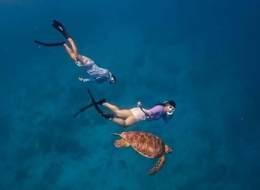 Gili Trawangan: Private Snorkeling 4 Spots Turtle with Gopro - Price and value: what $32 includes and why it adds up