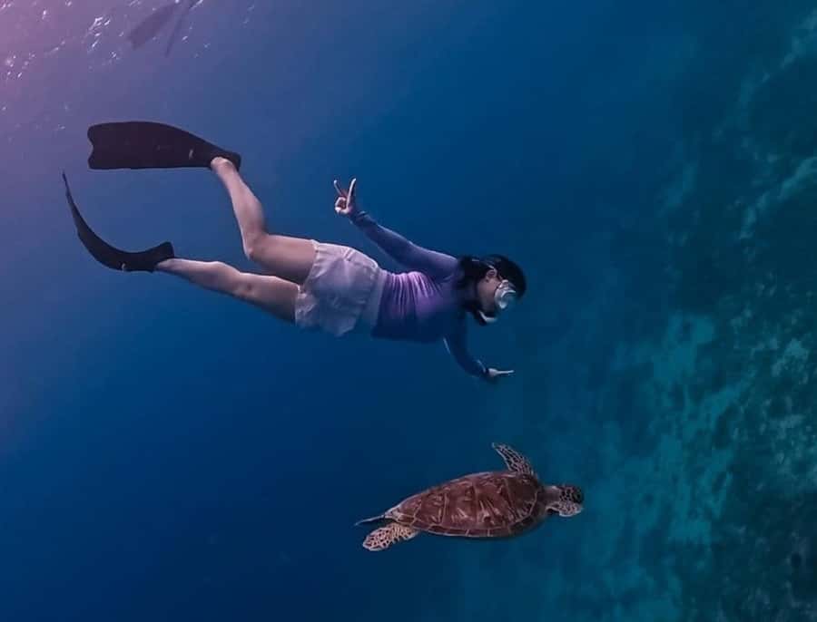 Gili Trawangan: Private Snorkeling 4 Spots Turtle with Gopro - Meeting, weather, and what to pack (so the day stays easy)