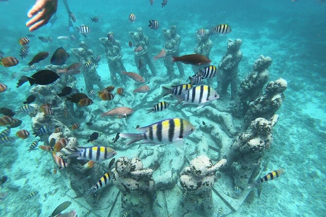 Gili Trawangan,Gili Meno& Gili Air Island:Snorkeling Day Trip Depart from Lombok - Key things to know before you go
