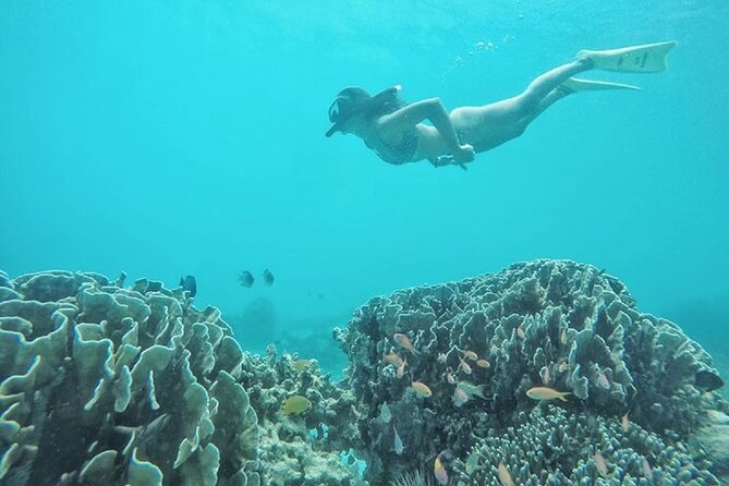 Gili Trawangan,Gili Meno& Gili Air Island:Snorkeling Day Trip Depart from Lombok - Public boat transfers plus a dedicated snorkeling boat
