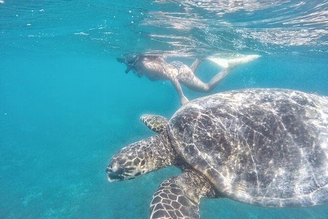 Gili Trawangan,Gili Meno& Gili Air Island:Snorkeling Day Trip Depart from Lombok - Gili Meno: the turtle point underwater stop