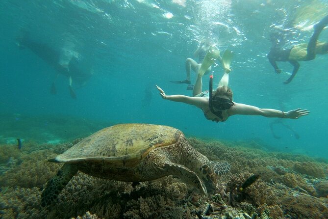 Gili Trawangan,Gili Meno& Gili Air Island:Snorkeling Day Trip Depart from Lombok - What your $86 ticket really buys (and the Rp20,000 port fees)