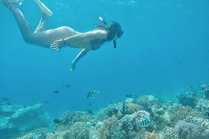 Gili Trawangan,Gili Meno& Gili Air Island:Snorkeling Day Trip Depart from Lombok - Guide quality: prompt pickup and a safety-first vibe