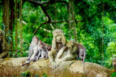 Goa Gajah / Elephant Cave Temple And Ubud Tour - All Inclusive - Sacred Monkey Forest Sanctuary: 700+ Macaques and Three Temples
