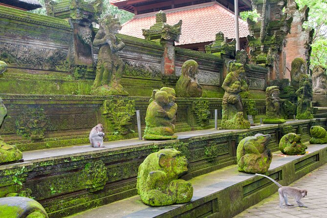 Goa Gajah / Elephant Cave Temple And Ubud Tour - All Inclusive - Tirta Empul Temple: The Holy Spring Purification Ceremony at the Fountains