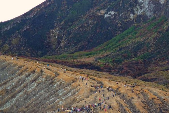 Guided Tour to Ijen Crater Blue Fire - Who Should Book This Ijen Blue Fire Hike