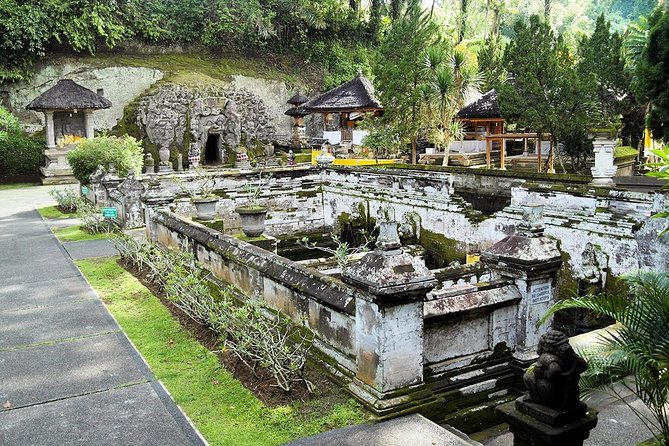 Half Day Bali Tour - Tegalalang Rice Terrace: panoramic views and lunch at your pace