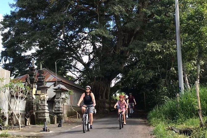 Half Day Cycling Tour ( Manual Bike ) - The Pickup Ride and the Start in Abuan (Bayung Gede)