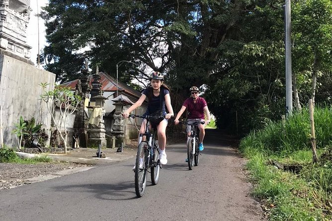 Half Day Cycling Tour ( Manual Bike ) - Taro Village Coffee Break in a Palm Garden
