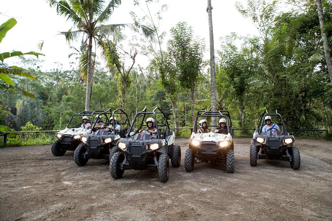 Half Day Jungle Buggies in Bali with Guide - Key things to know before you go