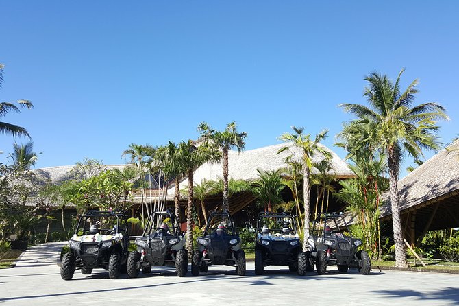 Half Day Jungle Buggies in Bali with Guide - Lunch Included: Fuel That Actually Lets You Enjoy the Ride